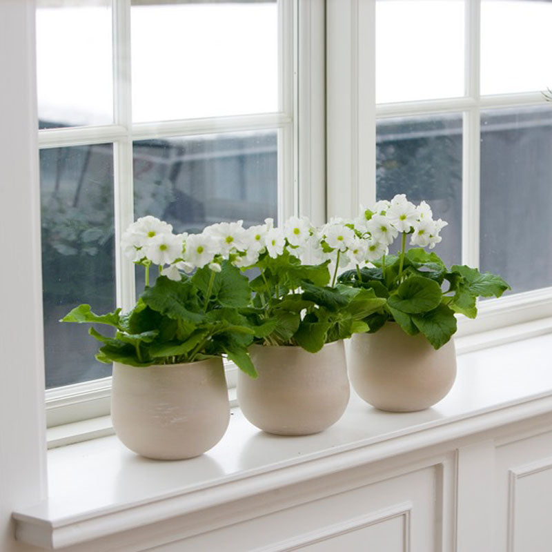 Plastic architraves and finishing trims